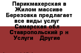 Парикмахерская в Жилом массиве Березовка предлагает все виды услуг - Самарская обл., Ставропольский р-н Услуги » Другие   